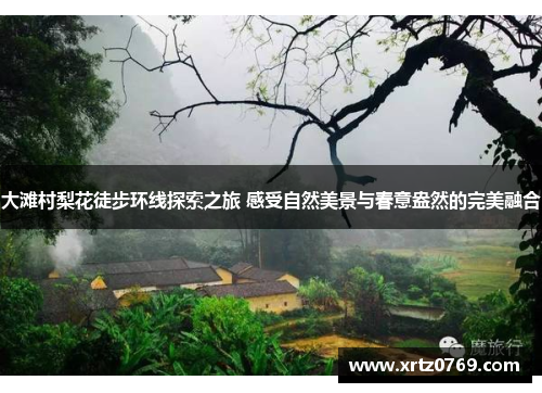 大滩村梨花徒步环线探索之旅 感受自然美景与春意盎然的完美融合