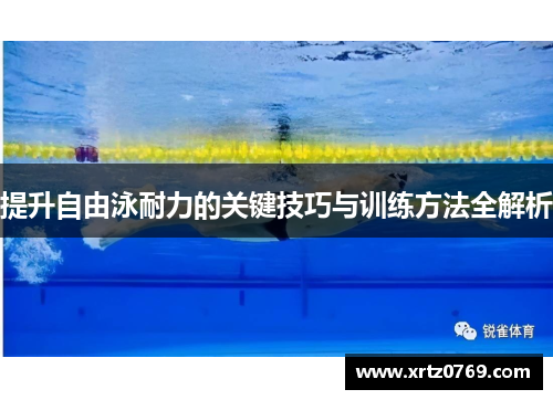提升自由泳耐力的关键技巧与训练方法全解析