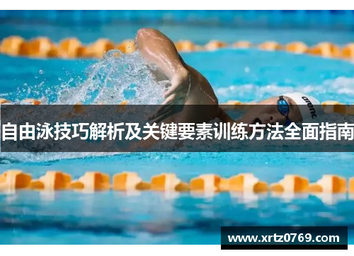 自由泳技巧解析及关键要素训练方法全面指南